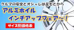 �A���~�z�C�[���C���`�A�b�v�t�F�A�[